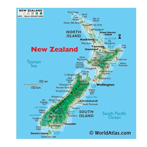 nz-01